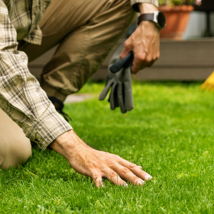a person touching grass