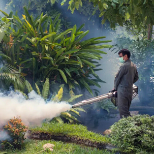 someone mosquito treating