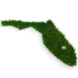 Grass in the shape of florida