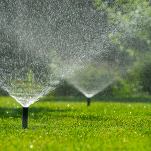 sprinklers