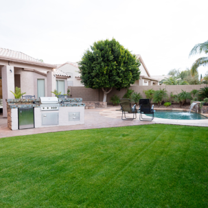 a back yard