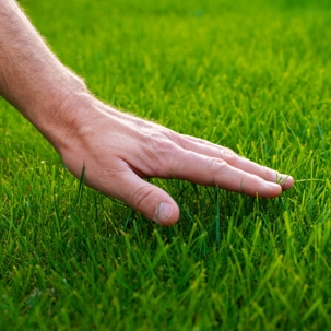 Man touches grass
