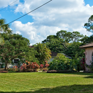 a lawn
