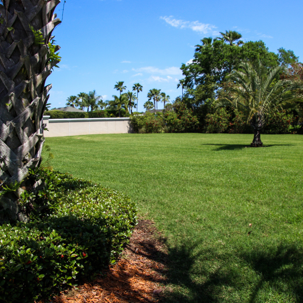 green lawn