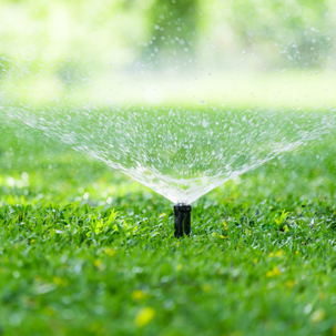 sprinkler system