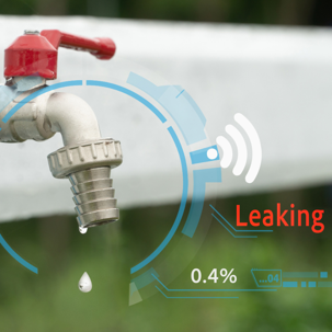 backflow preventer that needs repair