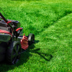lawnmower