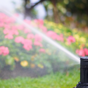 Sprinkler