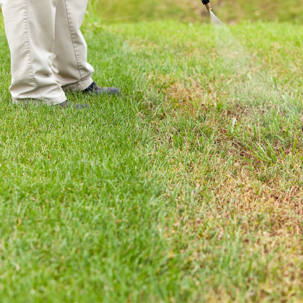 someone spraying a yard