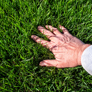 someone touching grass